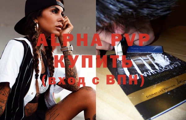 тгк Алзамай