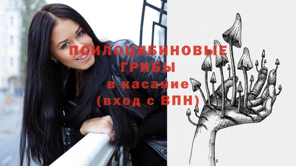 ГАЛЛЮЦИНОГЕННЫЕ ГРИБЫ Куйбышев